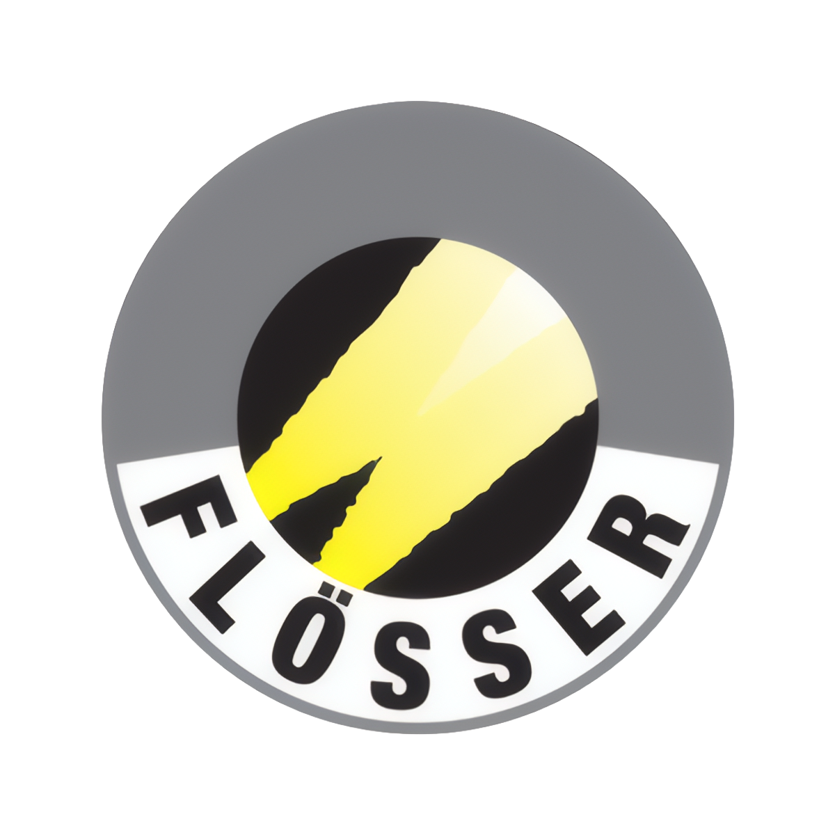 Flosser
